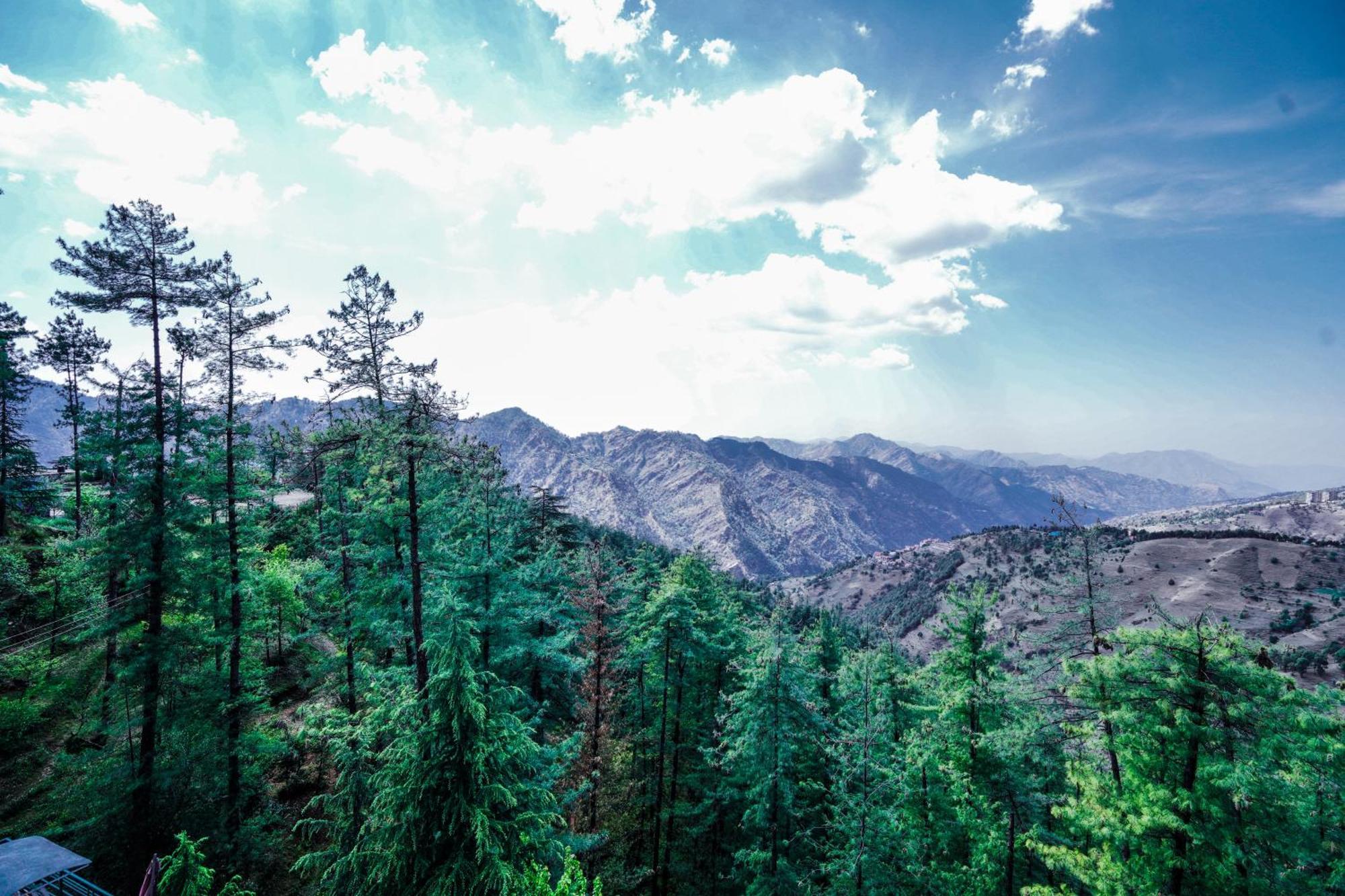 Aachman Nature Valley Resort Mashobra By Naina Staycation- Private Parking - Balcony And Valley View Rooms Шимла Экстерьер фото